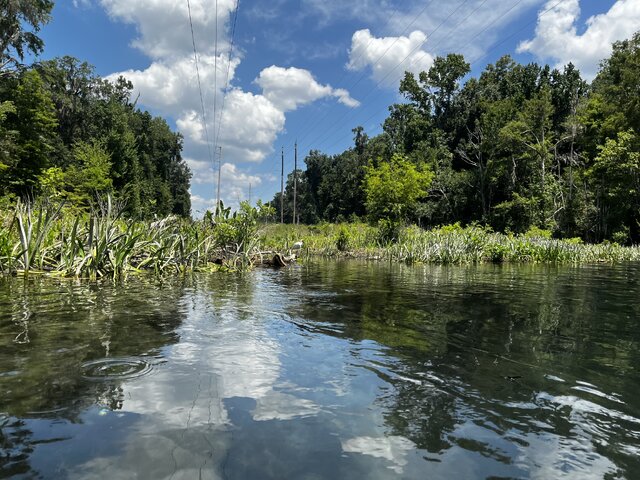 Listing image 1239730