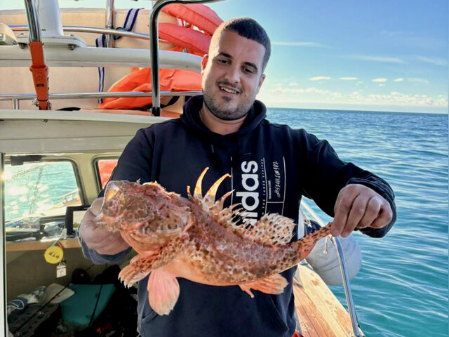 Listing image 1257989