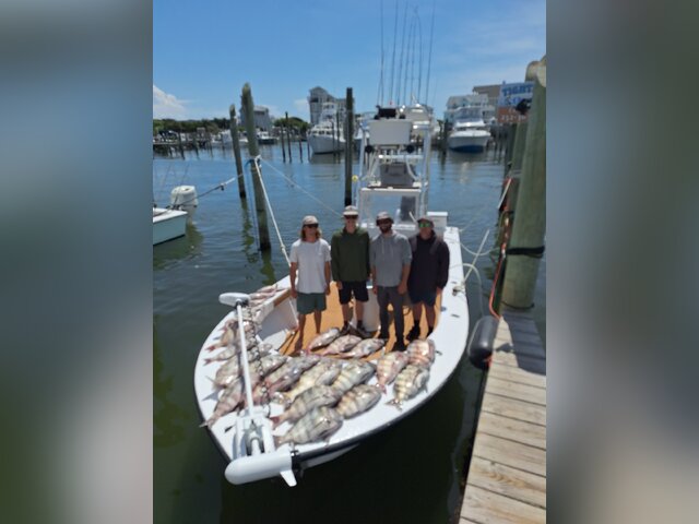 Listing image 1240880