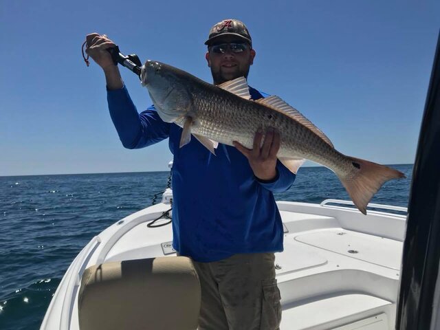 Listing image 1250782