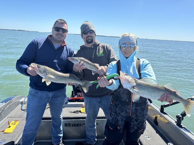 Listing image 1252990