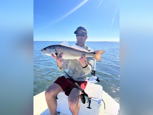 Listing image 1243303