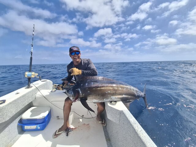 Listing image 1244522