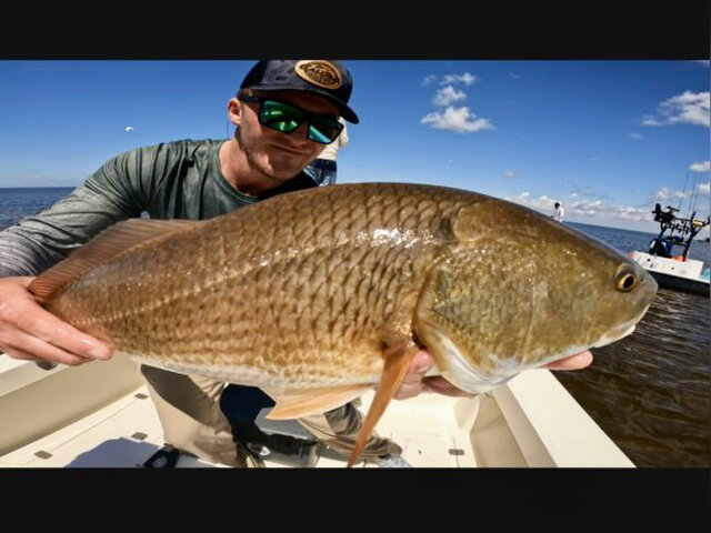 Listing image 1270517