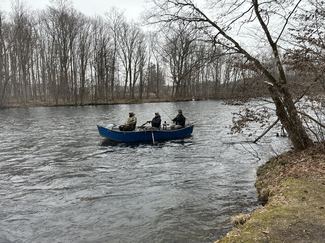 Listing image 1244734