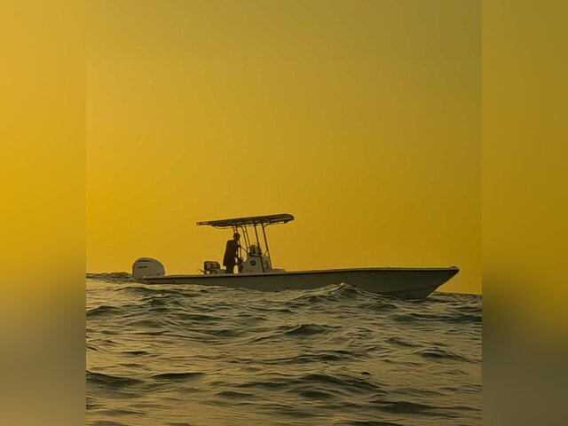 Listing image 1275602