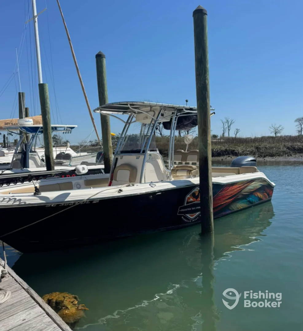 Boat image