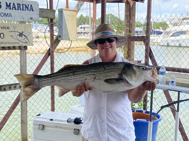 Listing image 1246822