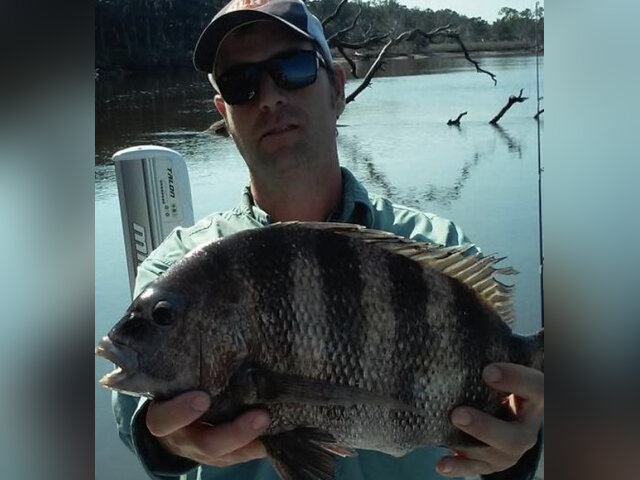 Listing image 1246866