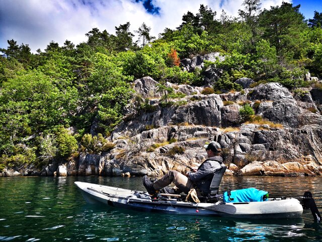 Listing image 1247151