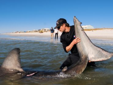 Coastal Worldwide – Beach Shark Fishing
