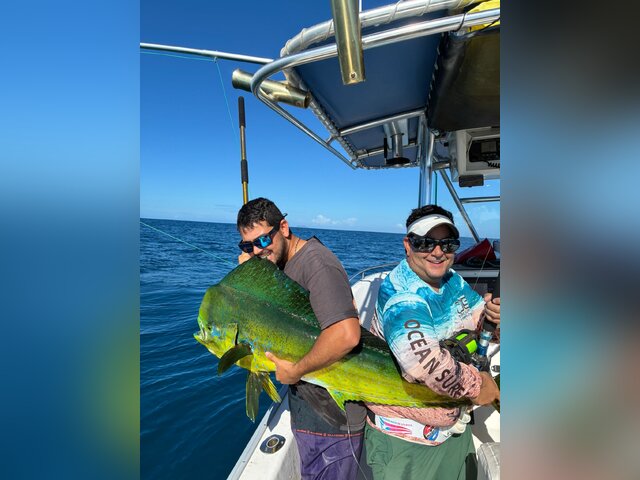 Listing image 1277767