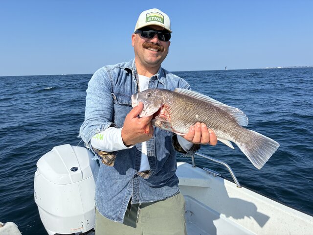 Listing image 1247817