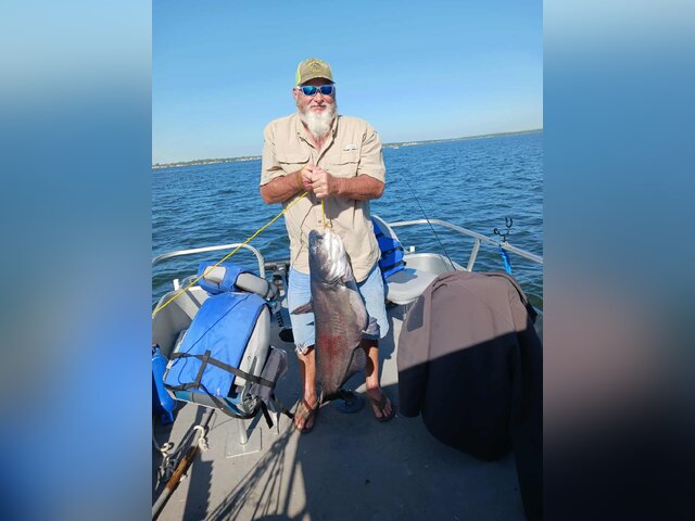 Listing image 1248064