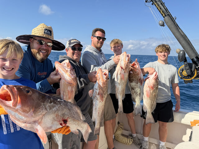 Listing image 1280409