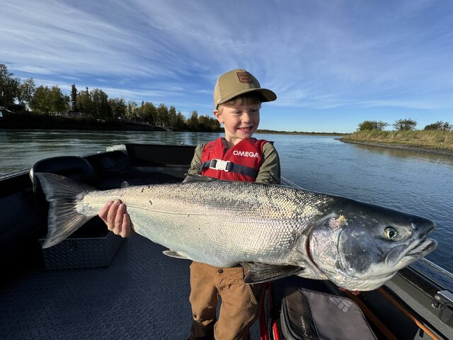 Listing image 1247978