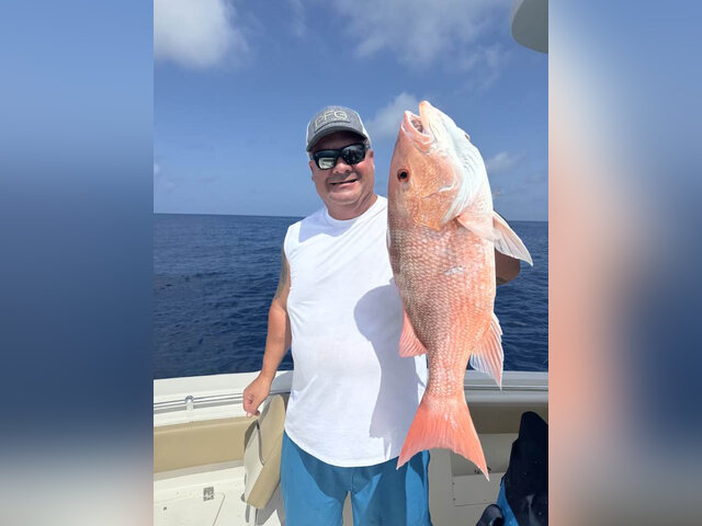 Listing image 1252404