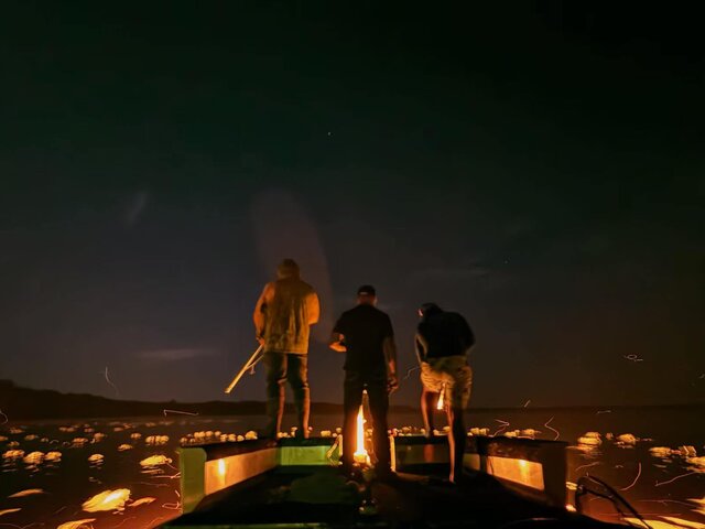 Listing image 1261387