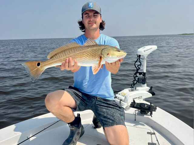 Listing image 1268553