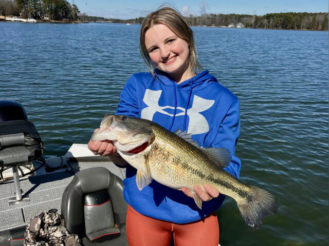 Listing image 1261494