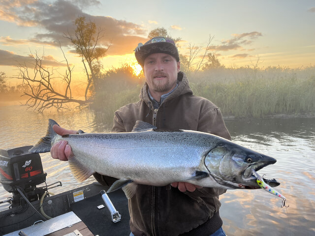 Listing image 1249088