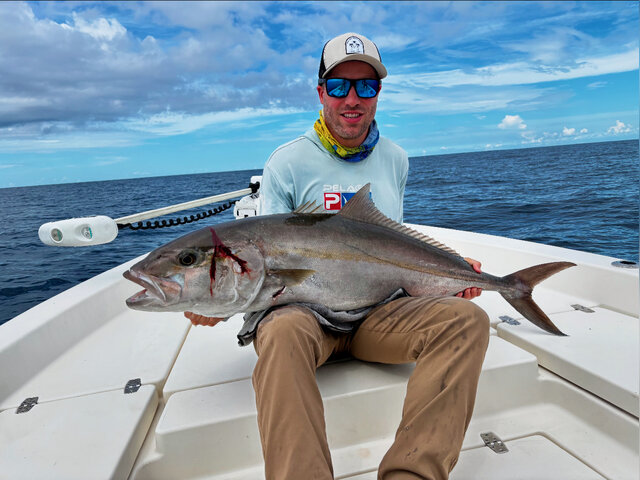 Listing image 1268258