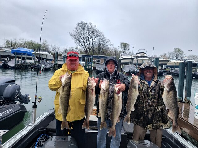 Listing image 1252628