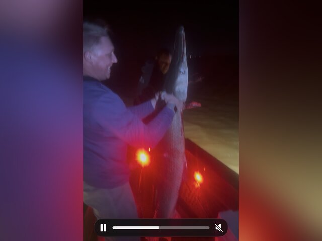 Listing image 1305032