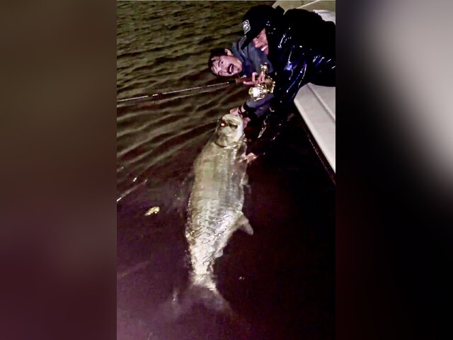 Listing image 1255638