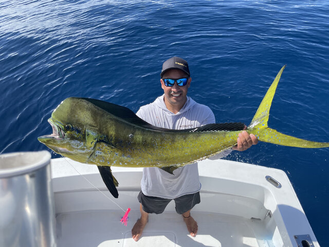 Listing image 1256012