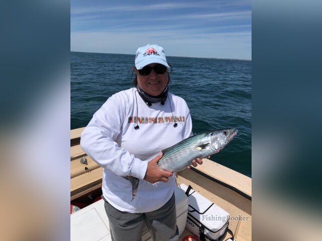 Listing image 464083