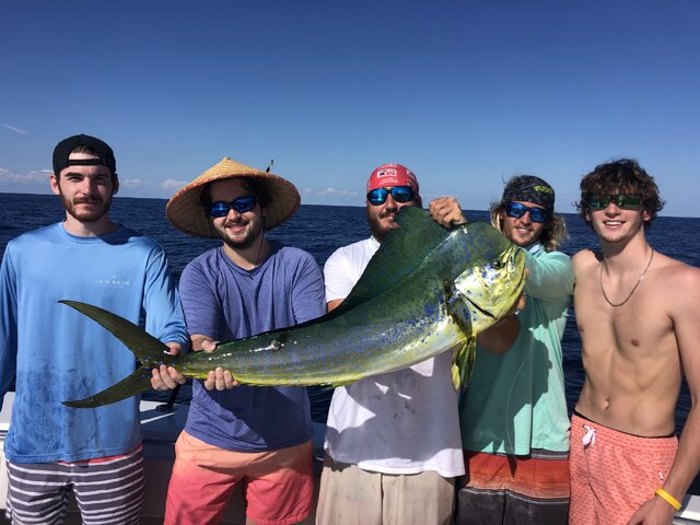 Listing image 1256519