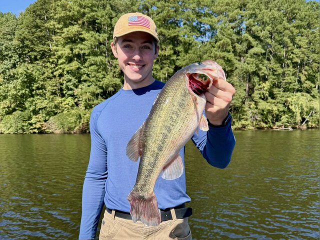 Listing image 1270148