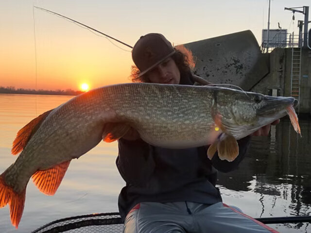 Listing image 1258545