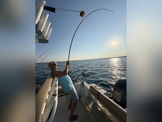 Listing image 1259186