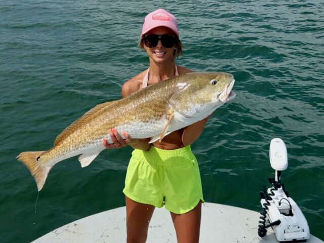 Listing image 1271147