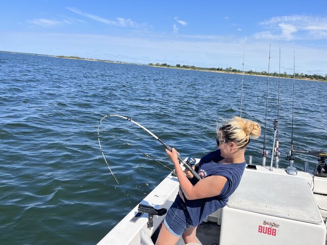 Listing image 1259536