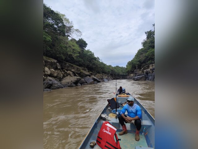 Listing image 1304749