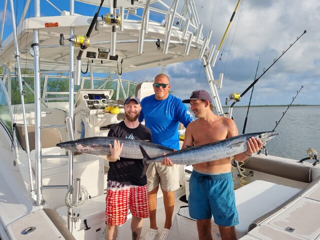 Listing image 1260666