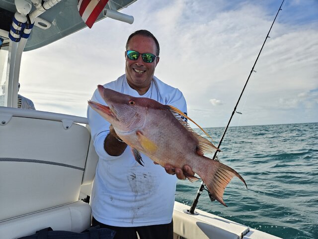 Listing image 1261337