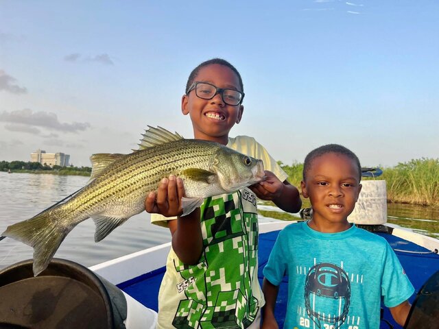 Listing image 1263448