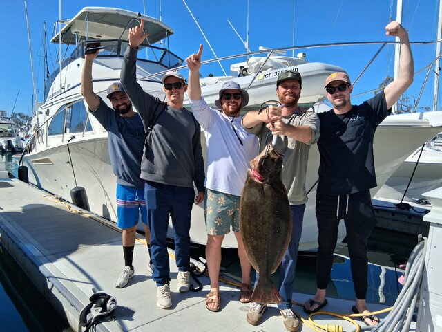 Listing image 1263774