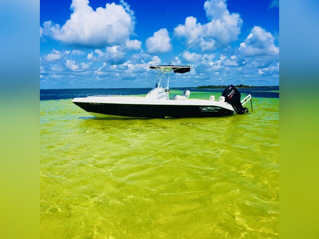 Listing image 1264837