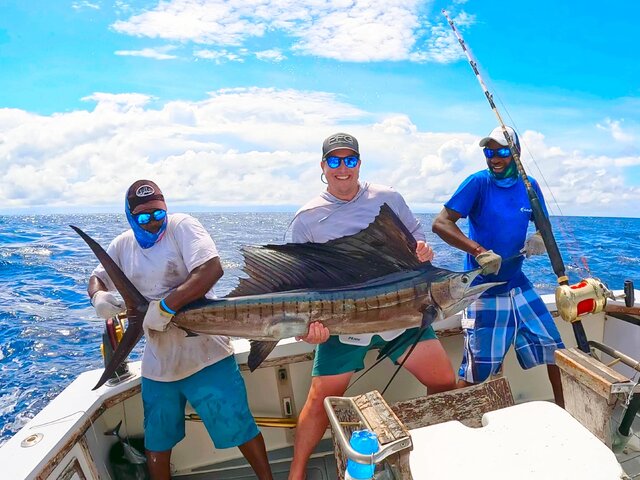 Listing image 1266013