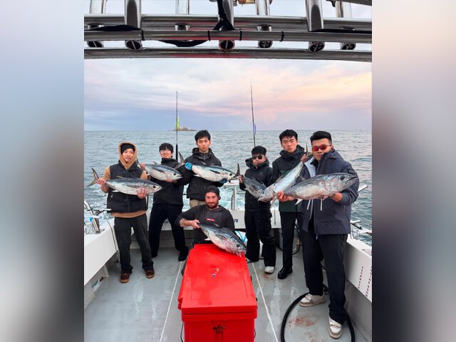 Listing image 1266023