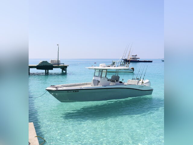 Listing image 1268182