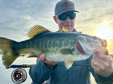 Lake Seminole Fishing Guide
