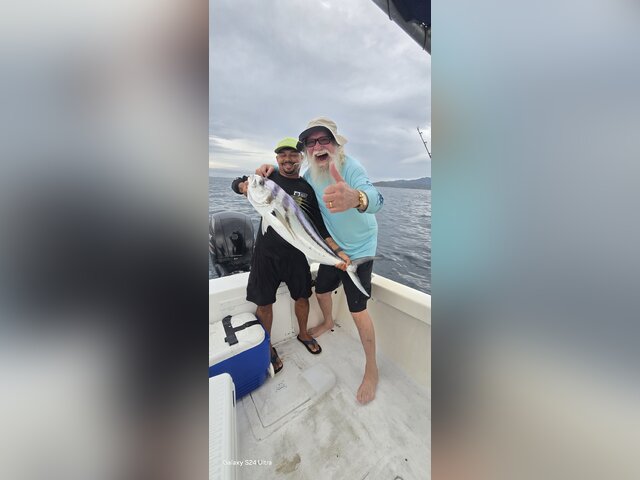 Listing image 1280371