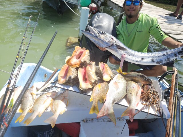 Listing image 1266393