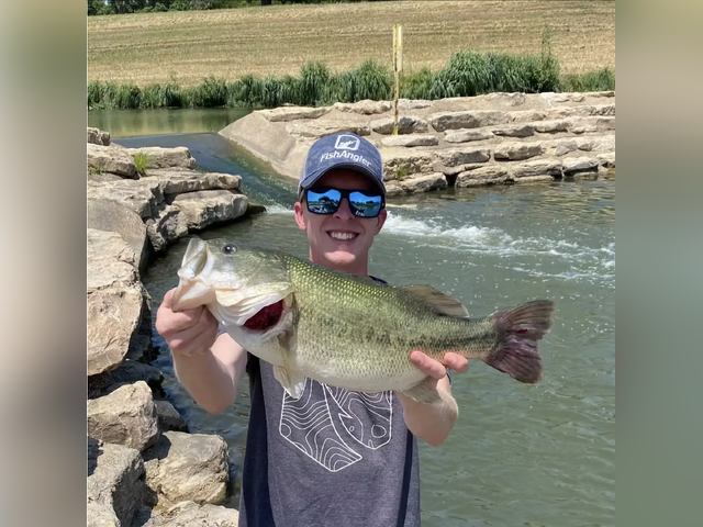 Listing image 1277318